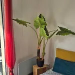Capri Bali C51, T4 Bien Equipe, Clim, Parking Petite Vue 아파트 *