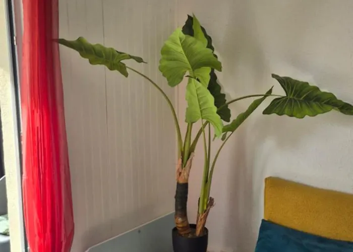 Capri Bali C51, T4 Bien Equipe, Clim, Parking Petite Vue Appartement *